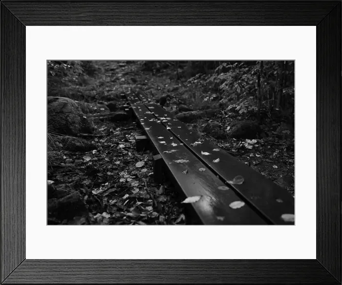 Framed Print : Förslöv, Skåne, Sweden. Oktober 9 2024. Hålehall hiking area Framed Print : Förslöv, Skåne, Sweden. Oktober 9 2024. Hålehall hiking area