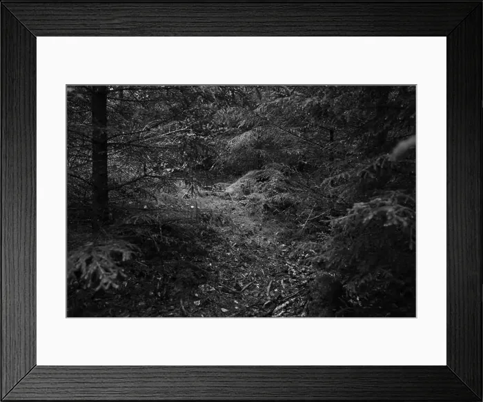 Framed Print : Förslöv, Skåne, Sweden. Oktober 9 2024. Hålehall hiking area Framed Print : Förslöv, Skåne, Sweden. Oktober 9 2024. Hålehall hiking area