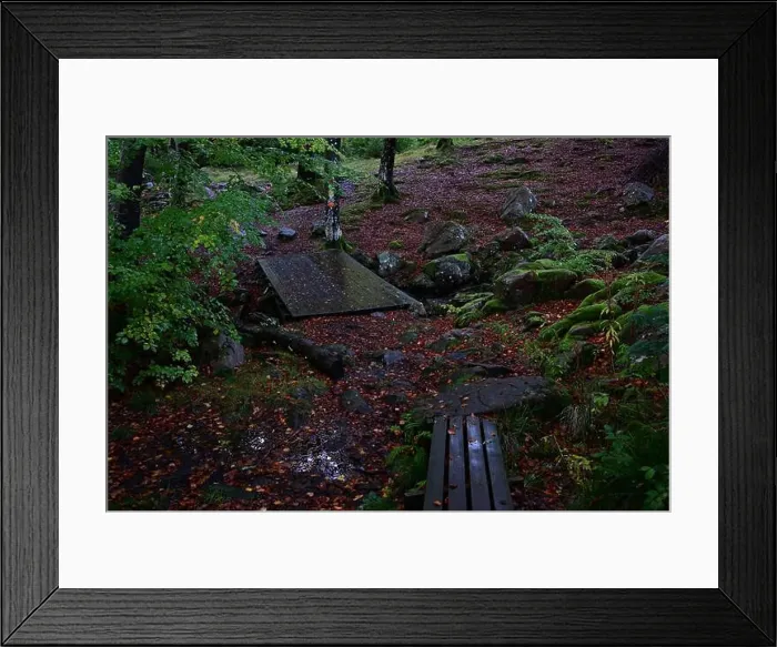 Framed Print : Förslöv, Skåne, Sweden. Oktober 9 2024. Hålehall hiking area Framed Print : Förslöv, Skåne, Sweden. Oktober 9 2024. Hålehall hiking area