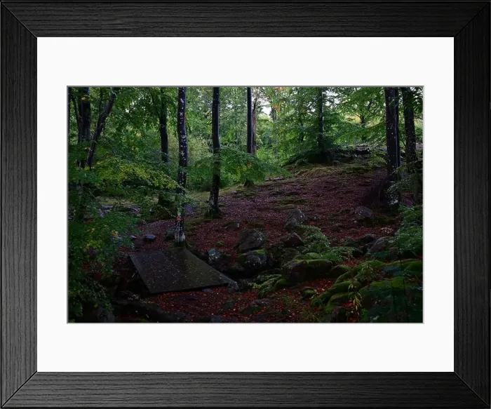 Framed Print : Förslöv, Skåne, Sweden. Oktober 9 2024. Hålehall hiking area
