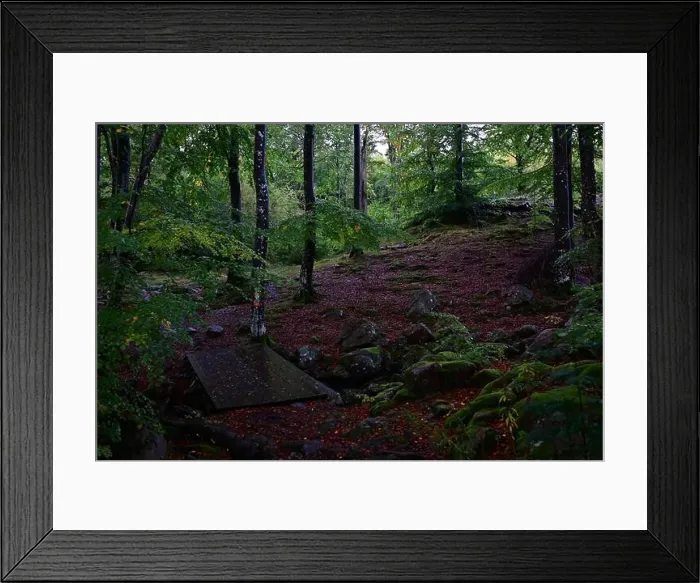 Framed Print : Förslöv, Skåne, Sweden. Oktober 9 2024. Hålehall hiking area