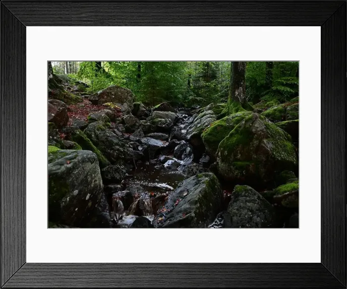 Framed Print : Förslöv, Skåne, Sweden. Oktober 9 2024. Hålehall hiking area Framed Print : Förslöv, Skåne, Sweden. Oktober 9 2024. Hålehall hiking area