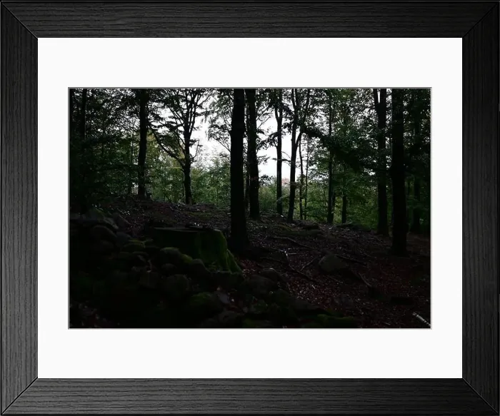 Framed Print : Förslöv, Skåne, Sweden. Oktober 9 2024. Hålehall hiking area