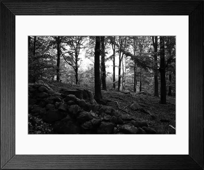 Framed Print : Förslöv, Skåne, Sweden. Oktober 9 2024. Hålehall hiking area Framed Print : Förslöv, Skåne, Sweden. Oktober 9 2024. Hålehall hiking area