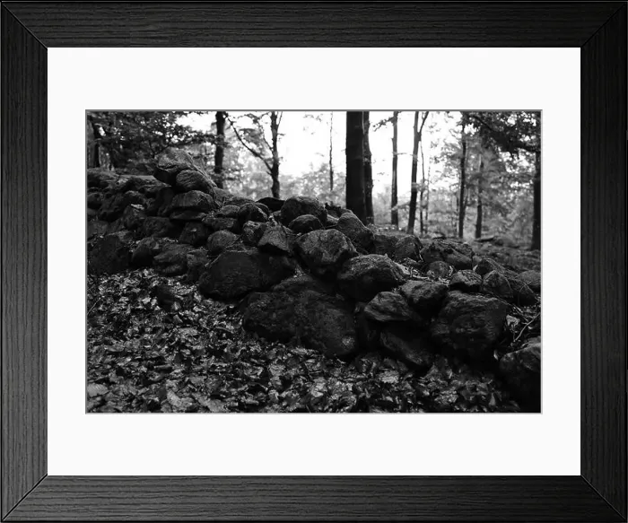 Framed Print : Förslöv, Skåne, Sweden. Oktober 9 2024. Hålehall hiking area Framed Print : Förslöv, Skåne, Sweden. Oktober 9 2024. Hålehall hiking area