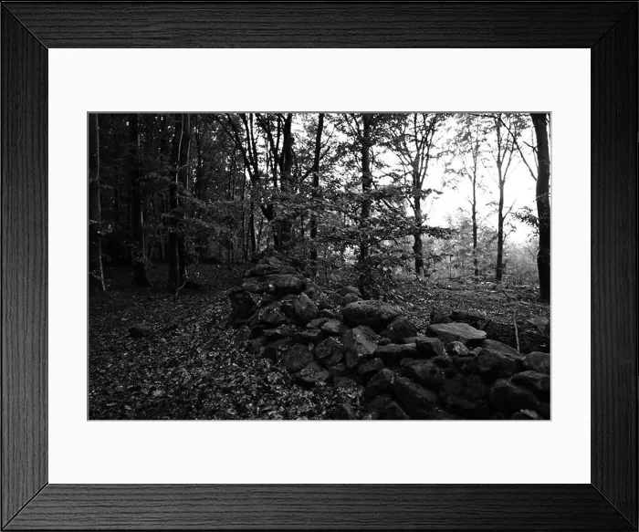 Framed Print : Förslöv, Skåne, Sweden. Oktober 9 2024. Hålehall hiking area Framed Print : Förslöv, Skåne, Sweden. Oktober 9 2024. Hålehall hiking area