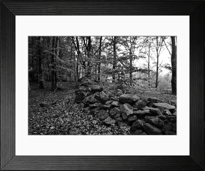 Framed Print : Förslöv, Skåne, Sweden. Oktober 9 2024. Hålehall hiking area Framed Print : Förslöv, Skåne, Sweden. Oktober 9 2024. Hålehall hiking area