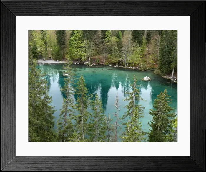 Framed Print : Above the lac Vert in Passy, haute Savoie, France. Scenic emerald green alpine lake in french alps with pine tree forest Framed Print : Above the lac Vert in Passy, haute Savoie, France. Scenic emerald green alpine lake in french alps with pine tree forest