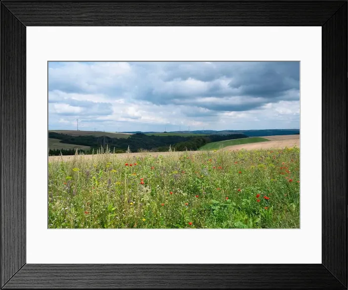 Framed Print : Meadow with poppy, daisy and flaxseed flowers Framed Print : Meadow with poppy, daisy and flaxseed flowers