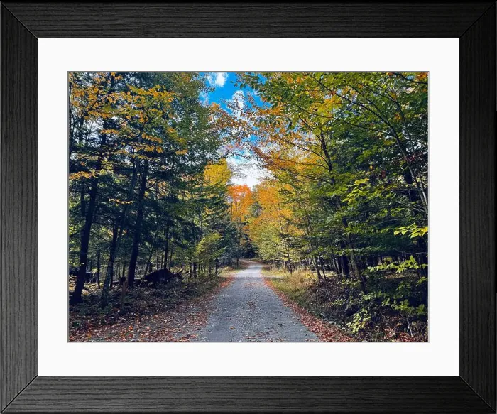 Framed Print : Path in the forest at fall - colorful trees and leaves - Yamaska Park, SEPAQ - Quebec, Canada Framed Print : Path in the forest at fall - colorful trees and leaves - Yamaska Park, SEPAQ - Quebec, Canada