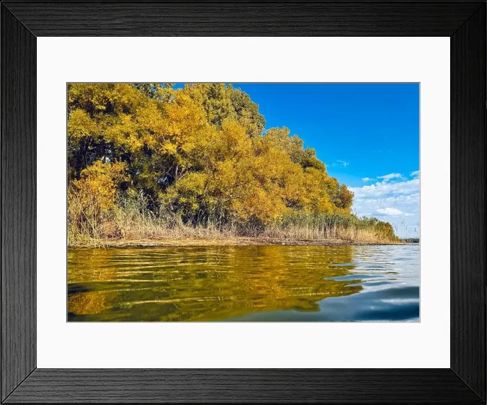 Framed Print : Reservoir Choiniere, Yamaska, Quebec, Canada - view of the shores in Autumn. Fall landscape