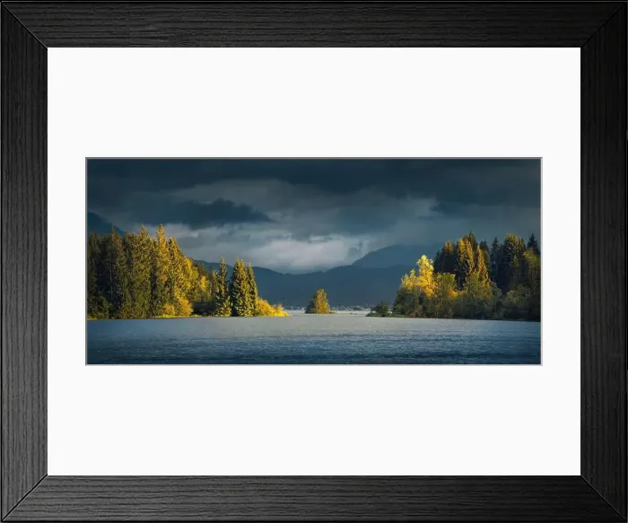 Framed Print : Row of sunlit trees in the middle of a beautiful blue lake Framed Print : Row of sunlit trees in the middle of a beautiful blue lake