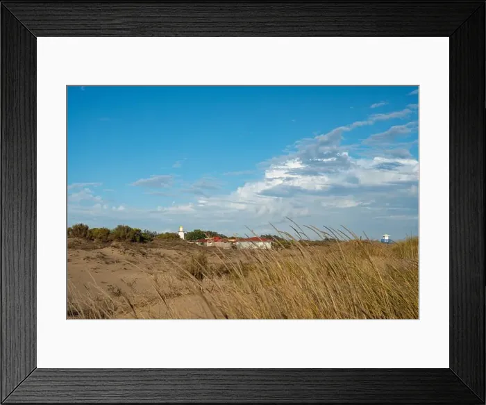 Framed Print : sand dunes at the beach near Isla Cristina at the Costa de la Luz in Andalusia Framed Print : sand dunes at the beach near Isla Cristina at the Costa de la Luz in Andalusia