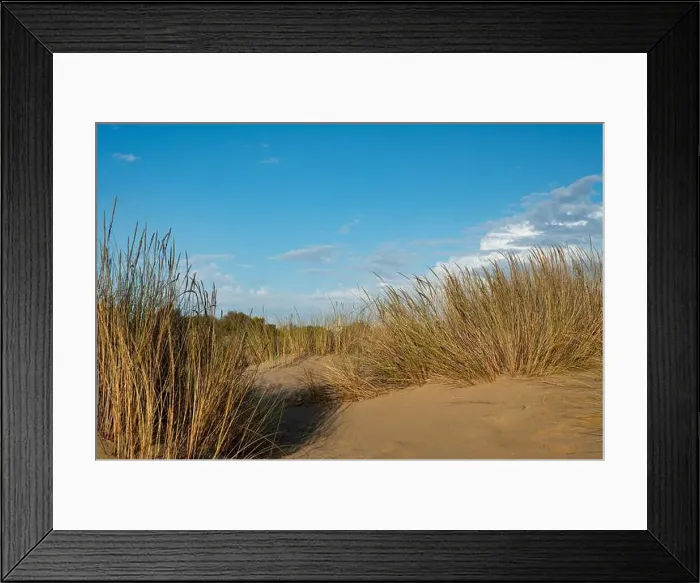 Framed Print : sand dunes at the beach near Isla Cristina at the Costa de la Luz in Andalusia Framed Print : sand dunes at the beach near Isla Cristina at the Costa de la Luz in Andalusia