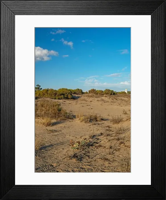 Framed Print : sand dunes at the beach near Isla Cristina at the Costa de la Luz in Andalusia Framed Print : sand dunes at the beach near Isla Cristina at the Costa de la Luz in Andalusia