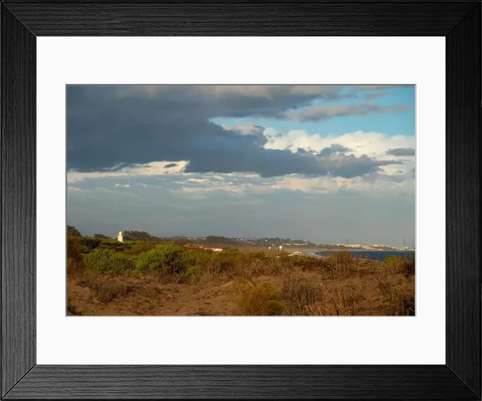 Framed Print : sand dunes at the beach near Isla Cristina at the Costa de la Luz in Andalusia Framed Print : sand dunes at the beach near Isla Cristina at the Costa de la Luz in Andalusia