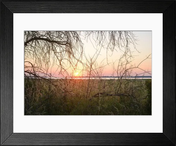 Framed Print : Sunset over the Salzhaff at the german baltic sea coast near Poel Island, natural bushes and grass Framed Print : Sunset over the Salzhaff at the german baltic sea coast near Poel Island, natural bushes and grass