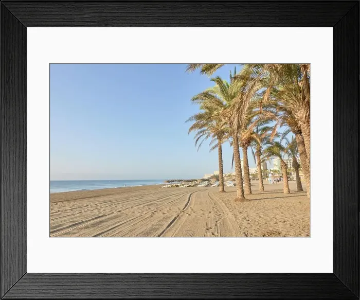 Framed Print : Palm trees on the wide sandy shore beach of Los Alamos in Torremolinos, Malaga, Andalusia, Spain Framed Print : Palm trees on the wide sandy shore beach of Los Alamos in Torremolinos, Malaga, Andalusia, Spain