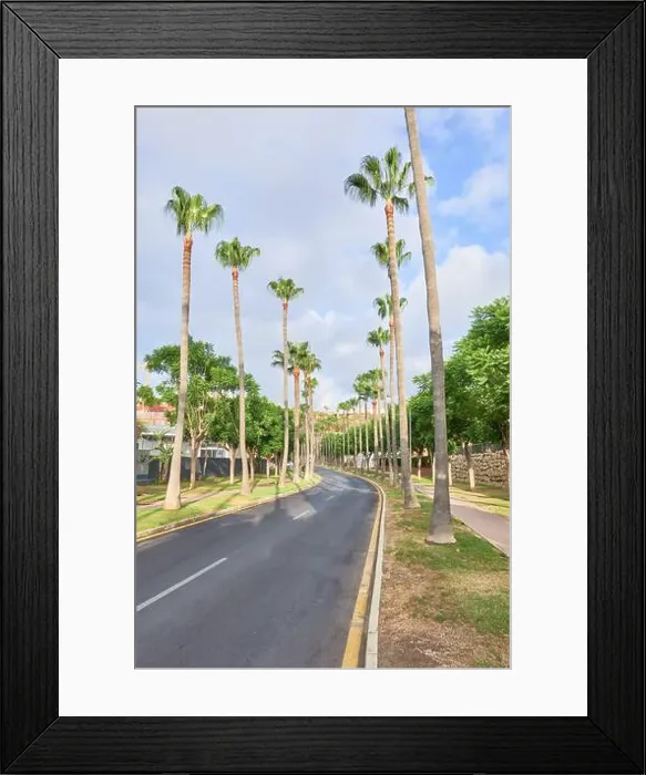 Framed Print : Vertical photo of peaceful road lined with tall palm trees on both sides Framed Print : Vertical photo of peaceful road lined with tall palm trees on both sides