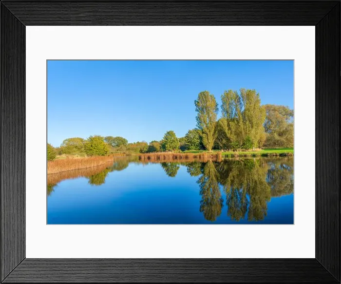 Framed Print : Tranquil lake in Bure Park, Great Yarmouth, Norfolk, UK in Autumn or Fall with reflections of trees on the water Framed Print : Tranquil lake in Bure Park, Great Yarmouth, Norfolk, UK in Autumn or Fall with reflections of trees on the water
