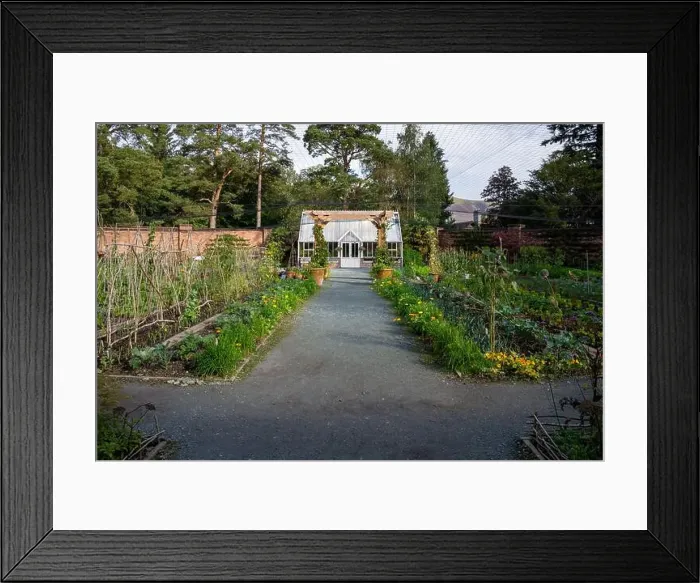 Framed Print : A beautiful formal walled garden with Victorian style greenhouse and vegetable patch in an English country garden Framed Print : A beautiful formal walled garden with Victorian style greenhouse and vegetable patch in an English country garden