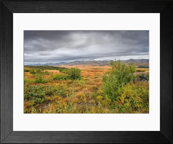 Framed Print : Autumn foliage in the Richardson Mountains on the Arctic Circle in the Yukon Territory, Canada Framed Print : Autumn foliage in the Richardson Mountains on the Arctic Circle in the Yukon Territory, Canada