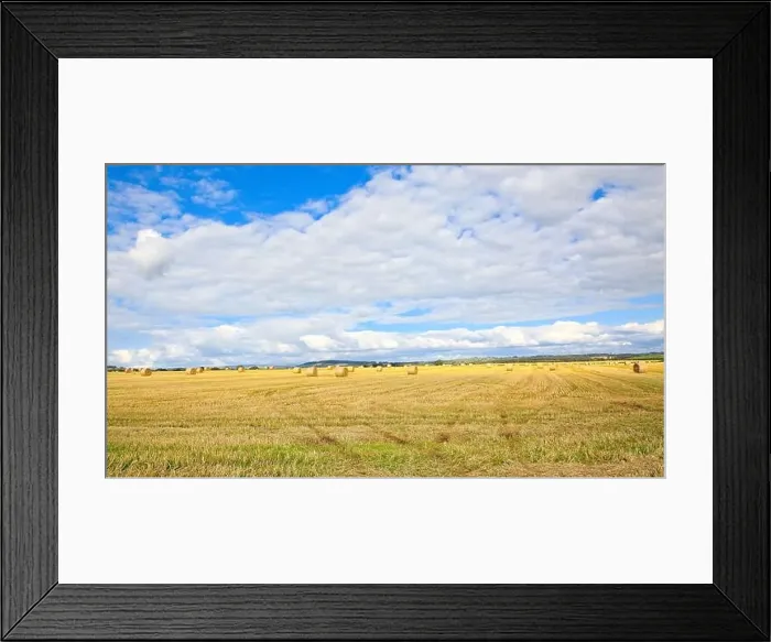 Framed Print : View over Scottish farmland with round straw bales Framed Print : View over Scottish farmland with round straw bales