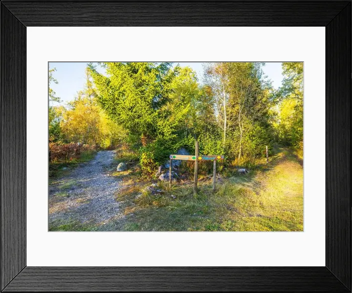 Framed Print : Forest trail intersection with wooden signposts in autumn nature landscape. Sweden Framed Print : Forest trail intersection with wooden signposts in autumn nature landscape. Sweden