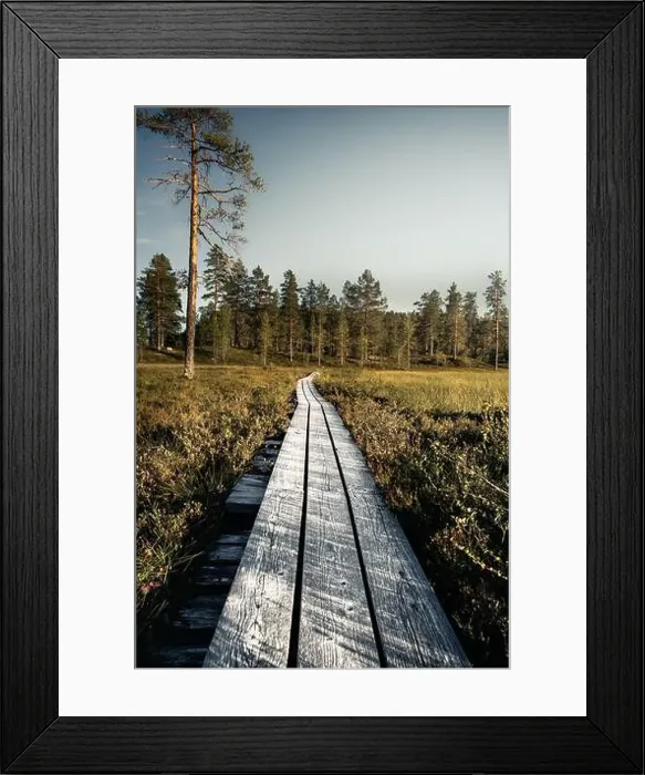 Framed Print : Wooden path leading through a forest Framed Print : Wooden path leading through a forest