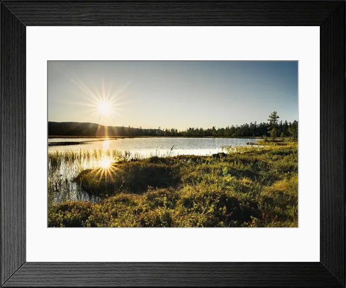 Framed Print : Golden sunset cast sunstar reflection on a calm lake Framed Print : Golden sunset cast sunstar reflection on a calm lake
