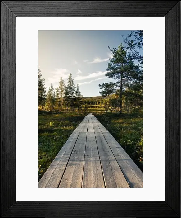 Framed Print : Wooden path stretches through a forest leading to a lake Framed Print : Wooden path stretches through a forest leading to a lake
