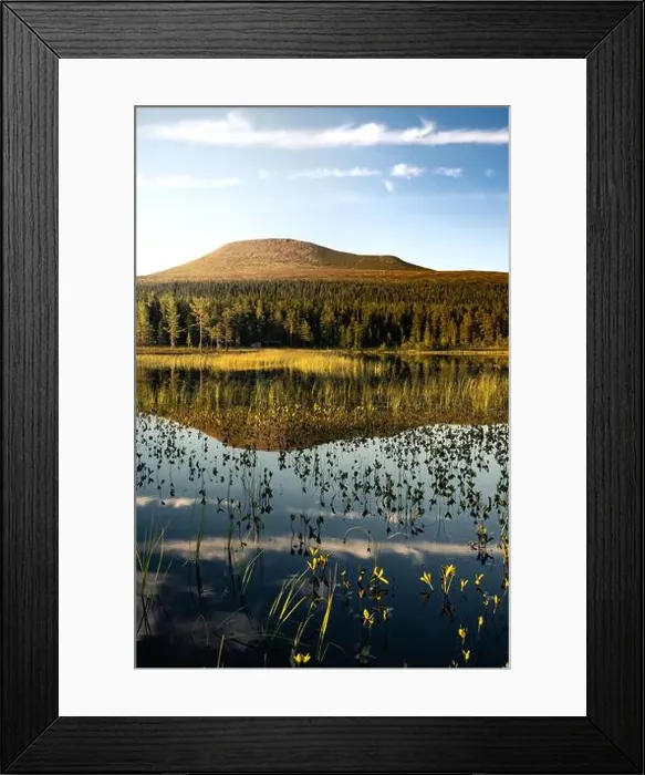 Framed Print : Golden hour, Städjan mountain showcases its symmetrical reflection in the serene lake surrounded by lush greenery Framed Print : Golden hour, Städjan mountain showcases its symmetrical reflection in the serene lake surrounded by lush greenery