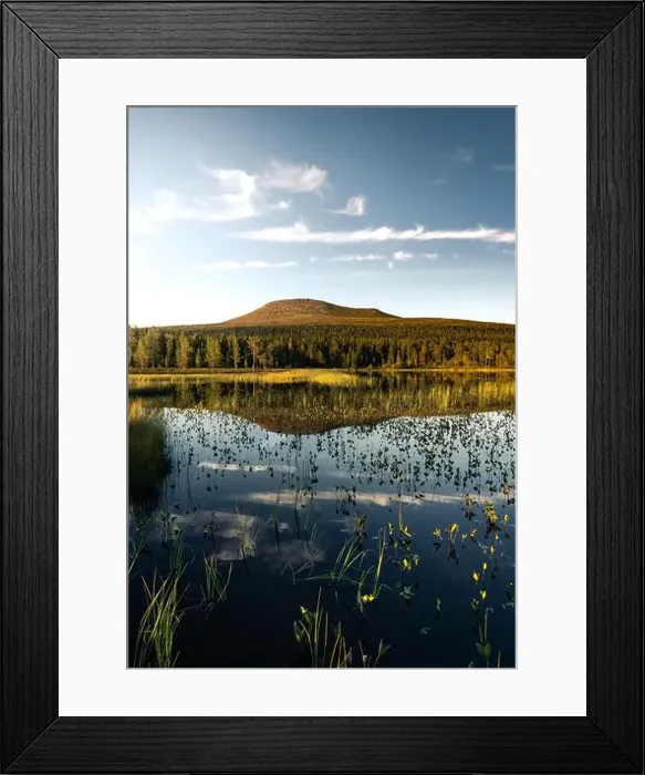 Framed Print : Golden hour, Städjan mountain showcases its symmetrical reflection in the serene lake surrounded by lush greenery Framed Print : Golden hour, Städjan mountain showcases its symmetrical reflection in the serene lake surrounded by lush greenery