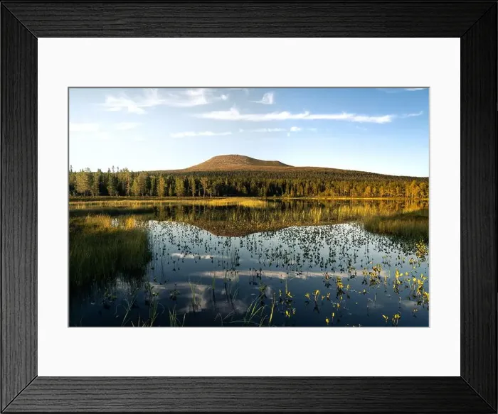 Framed Print : Golden hour, Städjan mountain showcases its symmetrical reflection in the serene lake surrounded by lush greenery Framed Print : Golden hour, Städjan mountain showcases its symmetrical reflection in the serene lake surrounded by lush greenery