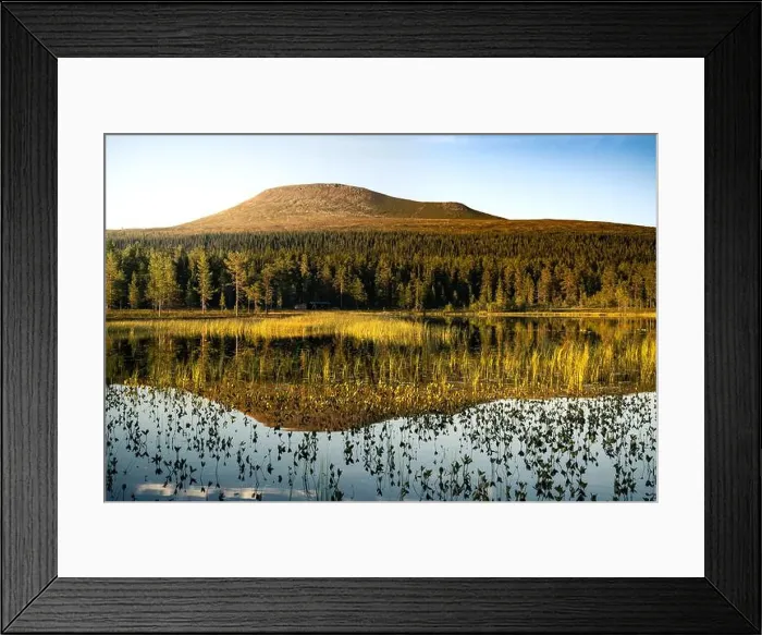 Framed Print : Golden hour, Städjan mountain showcases its symmetrical reflection in the serene lake surrounded by lush greenery Framed Print : Golden hour, Städjan mountain showcases its symmetrical reflection in the serene lake surrounded by lush greenery