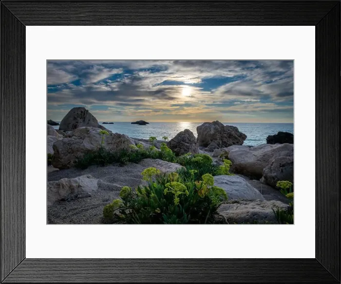 Framed Print : Plants growing on a rocky beach with a beautiful sea sunset in the background Framed Print : Plants growing on a rocky beach with a beautiful sea sunset in the background