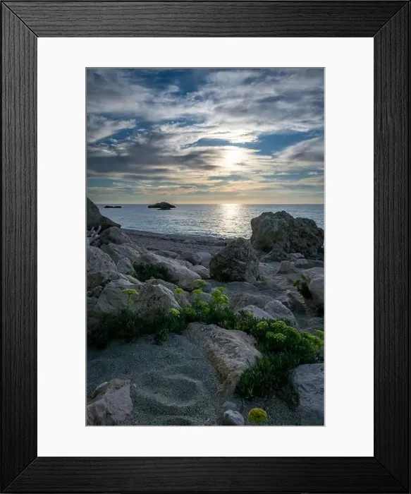 Framed Print : Plants growing on a rocky beach with a beautiful sea sunset in the background Framed Print : Plants growing on a rocky beach with a beautiful sea sunset in the background