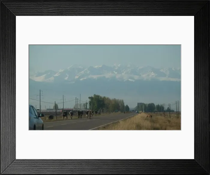 Framed Print : On a rural road in Xinjiang, China Framed Print : On a rural road in Xinjiang, China