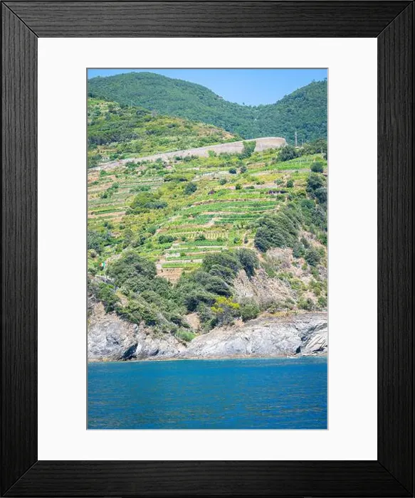 Framed Print : Beautiful view of the coast of Cinque Terre at the Ligurian Sea, Italy with terraces for growing vegeatbles and wine Framed Print : Beautiful view of the coast of Cinque Terre at the Ligurian Sea, Italy with terraces for growing vegeatbles and wine