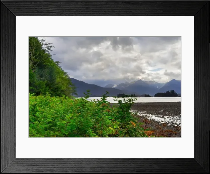Framed Print : View of Crescent Bay in Sitka, Alaska, with lush green plants and mountains in the background Framed Print : View of Crescent Bay in Sitka, Alaska, with lush green plants and mountains in the background