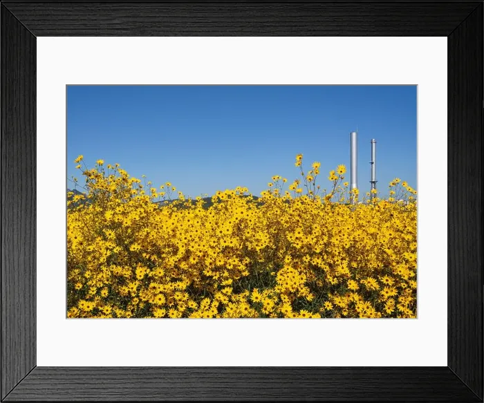 Framed Print : one