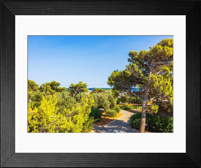 Framed Print : Beautiful view of tree-lined stone pathway leading towards sea under bright blue sky in sunny garden. Crete. Greece Framed Print : Beautiful view of tree-lined stone pathway leading towards sea under bright blue sky in sunny garden. Crete. Greece