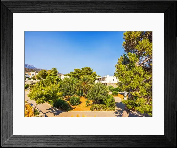 Framed Print : Sunny garden with lush green trees and plants along paved path in peaceful resort surrounded by nature. Greece Framed Print : Sunny garden with lush green trees and plants along paved path in peaceful resort surrounded by nature. Greece