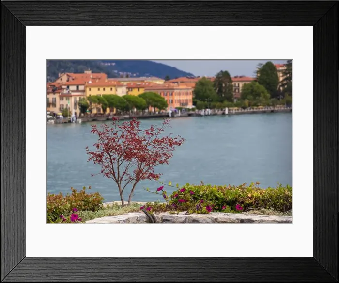 Framed Print : Lake Como landscape in full daylight Framed Print : Lake Como landscape in full daylight