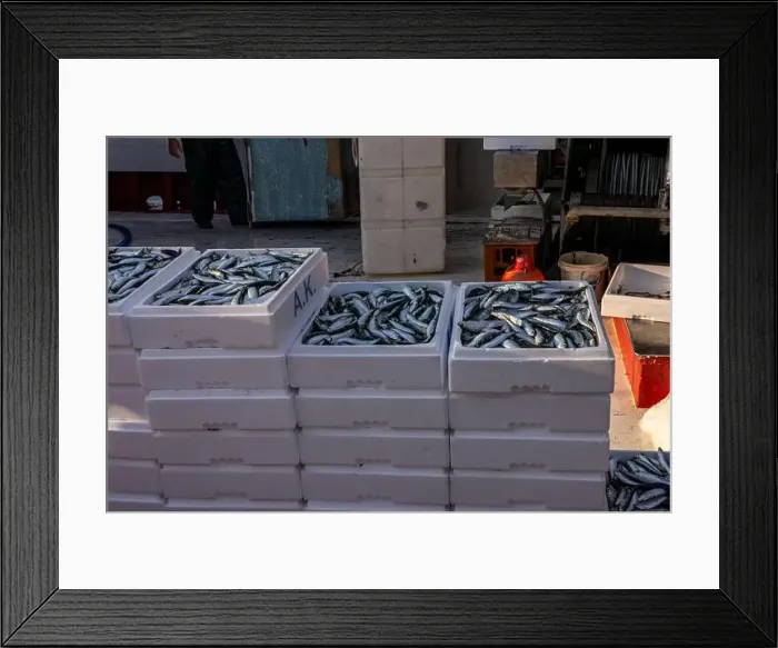 Framed Print : Traditional Fishing boats in Lesbos, Greece. Lesbos or Lesvos is a Greek island located in the northeastern Aegean Sea Framed Print : Traditional Fishing boats in Lesbos, Greece. Lesbos or Lesvos is a Greek island located in the northeastern Aegean Sea