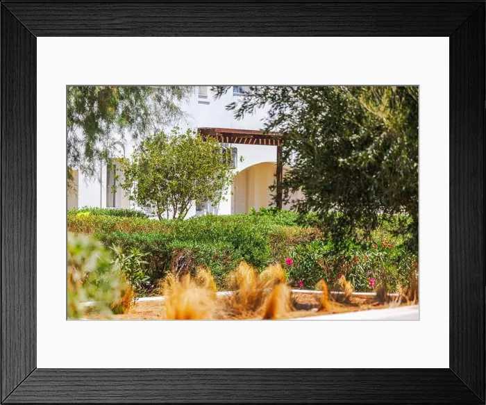 Framed Print : Green shrubs and trees in garden near white house with wooden pergola. Crete. Greece