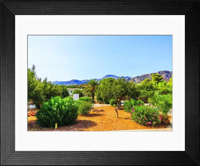 Framed Print : Lush garden with oleander bushes and palm tree in front of scenic mountain landscape on clear day. Crete. Greece Framed Print : Lush garden with oleander bushes and palm tree in front of scenic mountain landscape on clear day. Crete. Greece