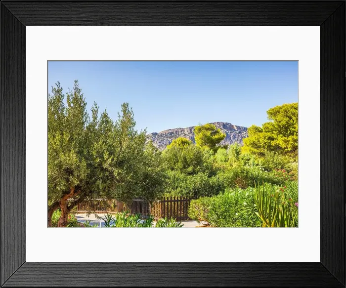 Framed Print : Scenic view of lush green garden with trees and distant mountains under clear blue sky. Crete. Greece Framed Print : Scenic view of lush green garden with trees and distant mountains under clear blue sky. Crete. Greece