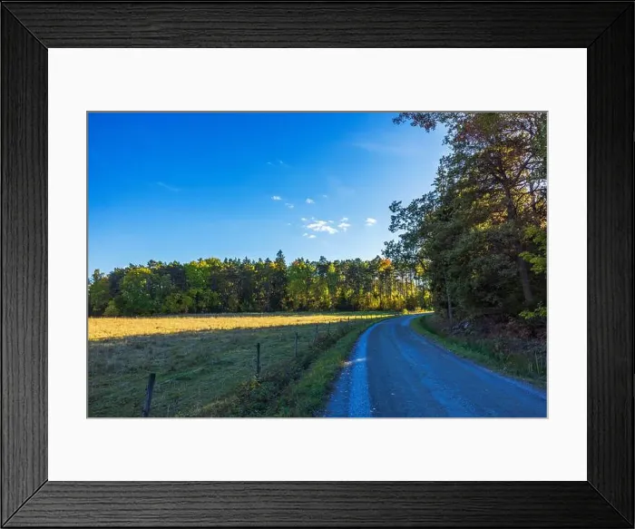 Framed Print : Country road curving through grassy field and forest under clear blue sky during sunny autumn day. Sweden Framed Print : Country road curving through grassy field and forest under clear blue sky during sunny autumn day. Sweden