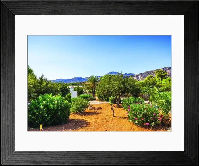 Framed Print : Garden with flowering bushes, palm trees Framed Print : Garden with flowering bushes, palm trees